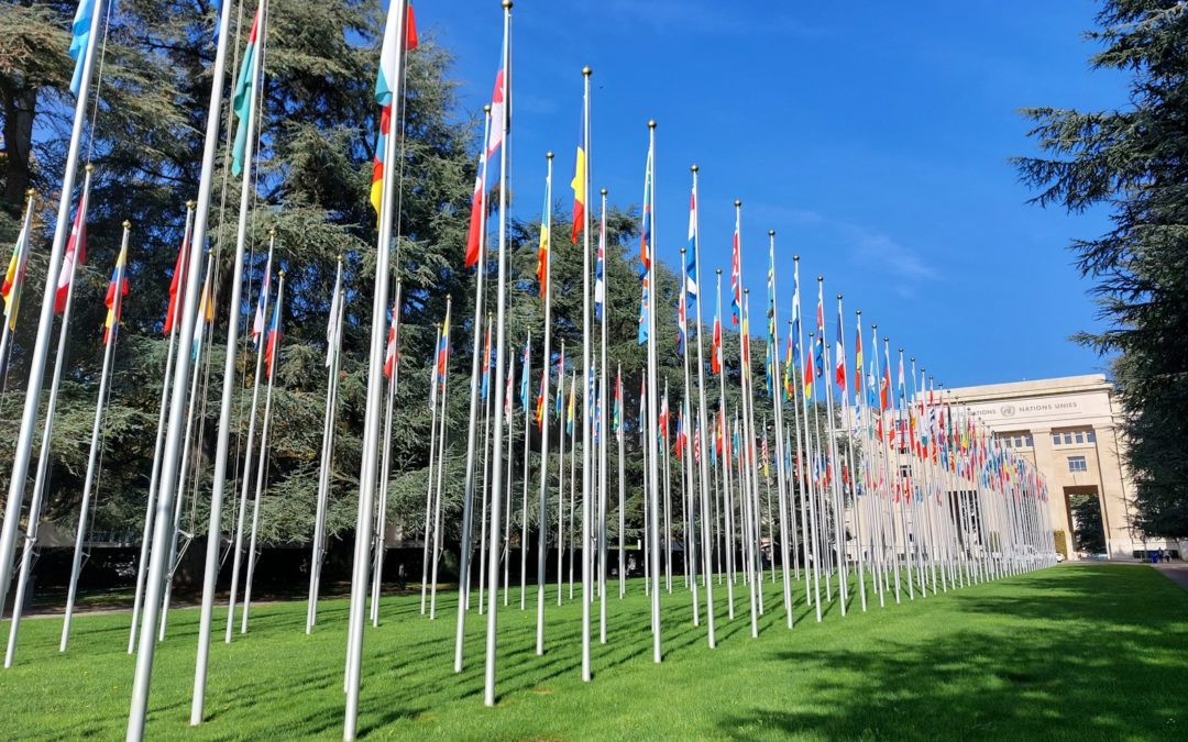 日内瓦华文教育基金会夏令营