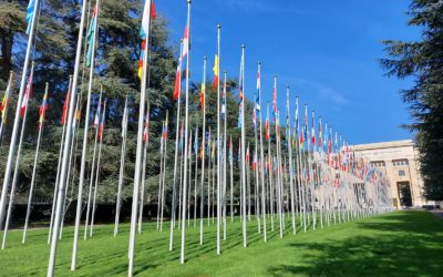 日内瓦华文教育基金会夏令营